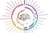 Machine Learning Links Mental Illness to Brain Network Changes