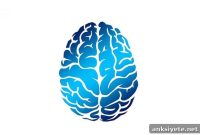 Working Memory: The Debate Blocking Scientific Progress