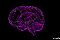 How Brain Immune Cells Shape Sexual Behavior