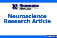 Researcher Develops New Therapies for Comatose TBI Patients