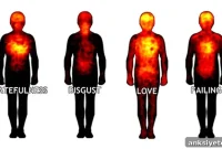 How Bodily Sensations Shape Conscious Feelings