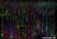 Big Data Study Uncovers New Drug Target for Epilepsy