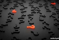 Trust Your Gut: How Intuition Influences Decisions