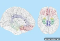 Decoding Human Mood from Brain Signals