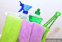 Home Cleaners Linked to Childhood Obesity via Gut Microbiome