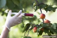 Addressing Negative Perceptions of Genetically Engineered Foods