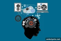 What Your Smartphone Camera Reveals About Your Brain