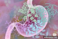 Study Shows Artificial Sweeteners Disrupt Gut Microbiome