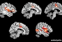 MDMA Raises Cooperation and Trust but Not Gullibility
