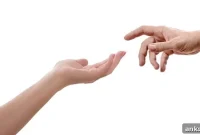 How Touch Creates Vivid, Lasting Memories