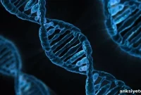 Study Identifies First Genetic Risk Factors for ADHD