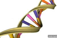 Genetic Basis of Autism Linked to Stem Cell Dysfunction
