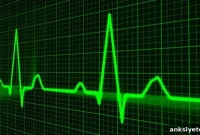 Study: Major Heart Surgery Does Not Affect Brain Function
