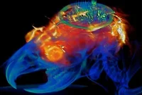 Wireless, Battery-Free Optogenetic Control of Neurons