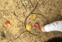 Nature Connection Reduces Children’s Distress and Hyperactivity
