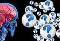 Exposure to Hate Speech Primes the Brain for Hateful Actions