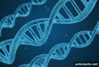 New Study Links Hundreds of Genes to Tobacco and Alcohol Use