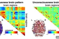 Brain Patterns Revealing Consciousness in Unresponsive Patients