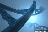 Hidden Genetic Variants Linked to Autism Severity