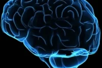 Does Congenital Blindness Lower Risk of Schizophrenia?
