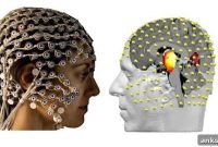 Noninvasive Technique Reveals Deep Brain Secrets