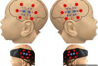 Mother’s Corrections Shape Infant Brain Response to Angry Tone