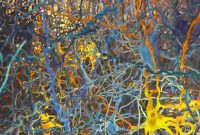 Blue Brain Project Solves 100-Year Neuroscience Mystery