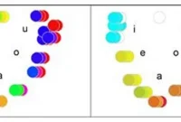 Why We Associate Vowels with Colors: The Science of Synesthesia