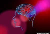 Low Cholesterol May Raise Risk of Hemorrhagic Stroke in Women