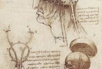 What Leonardo da Vinci Knew About the Brain