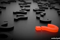 Carrot vs. Stick: Which Motivates Learning More?