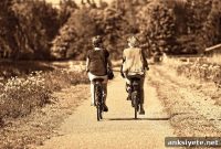 Exercise Reawakens Memory Networks in Older Adults