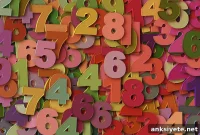 How Number Sense Emerges From Visual Object Recognition
