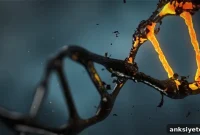 How Genetic Mutations Trigger Neurodegenerative Diseases