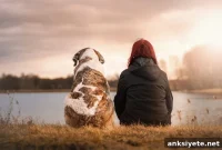 Do Your Genes Influence Dog Ownership?