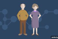 New Cellular Pathway Explains How an Anti-Aging Drug Works