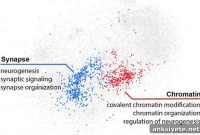 Study Links Autism to Mutations in Noncoding DNA