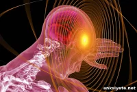 High LDL Cholesterol Linked to Early-Onset Alzheimer’s Risk