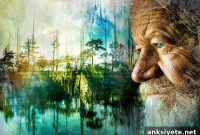 Why Cannabis Use Is Soaring Among Older Adults