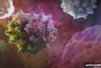 New Study Reveals How Hepatitis C Evades the Immune System