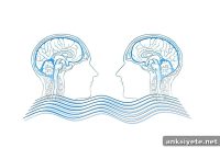 EEG Detects Hidden Consciousness Days After Brain Injury