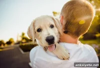 Choosing the Right Dog Is Like Dating: Find Your Match