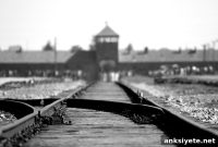 Study Finds Biological Impact on Holocaust Survivors’ Brains
