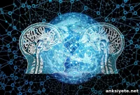 Sharing My Data to Unite Neuroscientists Against Brain Disease