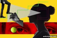 How Expectations Shape Perception and Decision Making