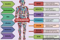 Unlocking the Human Microbiome: What Science Reveals