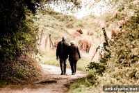 How Alzheimer’s Disease Risk and Progression Vary by Gender
