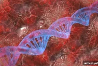 Persistent HIV in the Brain Tied to Cognitive Decline