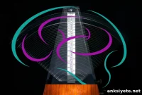 Scientists Discover Neuron That Acts as Brain’s Metronome