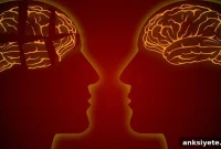 Study Finds Liver Dysfunction Linked to Alzheimer’s Disease